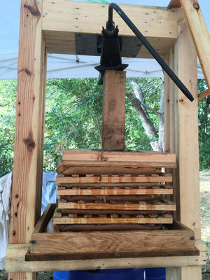 Cider being produced in an old-style wooden apple press